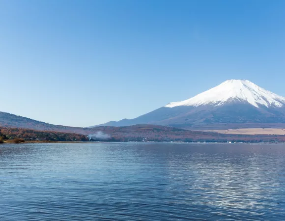 JUBILANT JAPAN‘S CHERRY BLOSSOM (9D/8N)